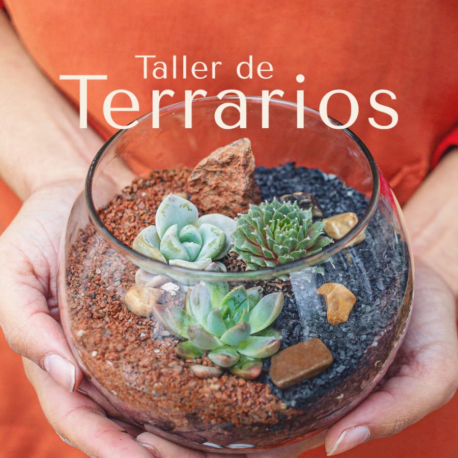 Taller de Terrarios (Presencial)